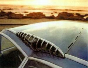 Nardi Blue Ray