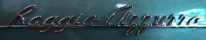 Nardi logo